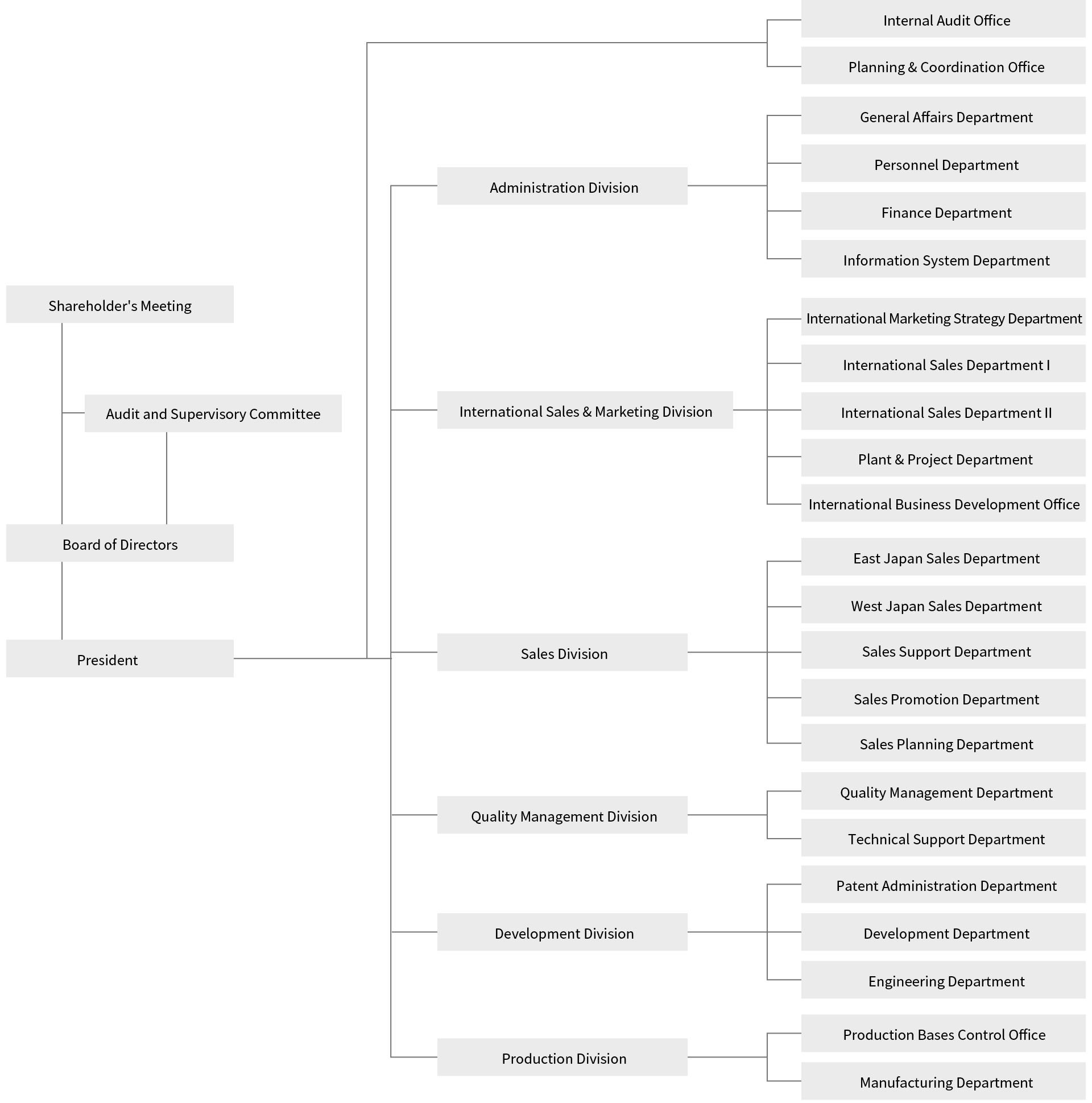 Company Organization